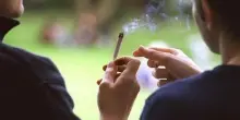 Cannabis negli adolescenti: cosa fare e cosa dire ad un giovane