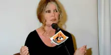 Brigitte Bardot dimessa dopo un intervento chirurgico: "Ora si riposa a casa"
