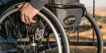 La parola disabilità in Costituzione: cosa prevede la proposta della maggioranza