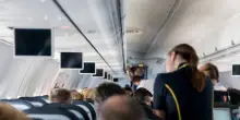 Da Ryanair a Emirates, dove si guadagna di più come assistente di volo