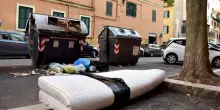 Autovelox, rifiuti, case sfitte e animali: occhio alle sanzioni con cui i Comuni cercano di fare cassa