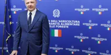 Coltivaitalia, investimento record in agricoltura: il ministero punta 1 miliardo su filiere e giovani
