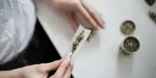 Alla canna del gas