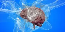 Alzheimer, la speranza è nel litio: la scoperta di Harvard sul "custode" che protegge la memoria