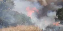 Violento incendio vicino dell'aeroporto di Olbia: ritardi e voli dirottati, cosa è successo