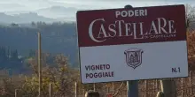 Torre Alta, il nuovo volto del Chianti Classico