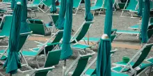 Cani, cibo e giochi: cosa non si può fare in spiaggia