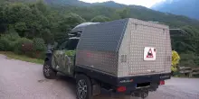 L'orsa JJ4 trasferita in Germania