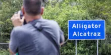 Due italiani ad Alligator Alcatraz. "È un campo di concentramento"