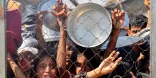 "Basta uccidere". "È Hamas che spara". Scontro Ue-Israele
