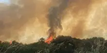 Incendio in un villaggio turistico del Crotonese: oltre 180 persone evacuate