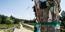 Dal Cammino di Santiago a una storia di rinascita