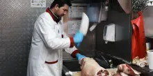 Tortellini e mortadella in versione islamica: cosa succede a Bologna
