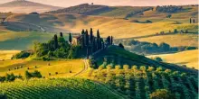 Turismo enogastronomico: un business in cerca di professionisti