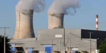 Invasione di meduse, allarme nella mega centrale nucleare francese: cosa è successo