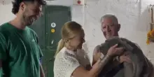 Meloni in Puglia, visita a sorpresa a un allevamento di cani
