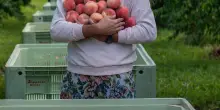 Tommaso Canella tra i Future 40 di Wine Enthusiast: il Bellini guarda al futuro