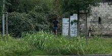 Nuova occupazione a Milano: migranti riprendono l'ex liceo Manzoni