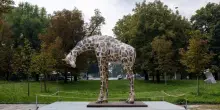 "Inequalities", dopo l'elefante in Triennale arriva la giraffa di Rothschild