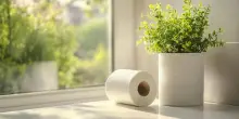 Si può sviluppare un'allergia alla carta igienica?
