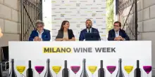 Torna la Milano Wine Week. La città alza i calici