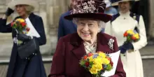 “Si nascose dietro a un cespuglio”. Il segreto svelato della regina Elisabetta