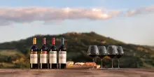 Val di Suga, il Brunello si fa in tre