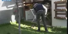 Partorisce, soffoca i neonati e li nasconde nell’armadio: arrestata