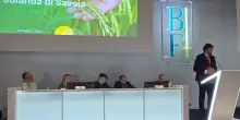 UniBo e BF Educational: conferimento del diploma di Master universitario agli studenti della seconda edizione