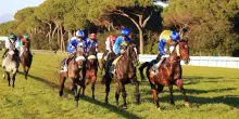 Riapre San Rossore, l’ippodromo più british d’Italia
