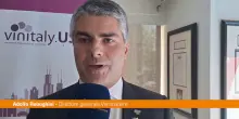Dazi, Rebughini "L'industria del vino è estremamente resiliente"