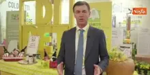Prandini (Coldiretti): Da filiera agroalimentare 4 milioni occupati, obiettivo 100 miliardi export