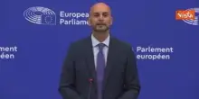 Procaccini (Ecr): "Lavorare ad accordo con Usa per dazi zero"