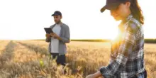 Colture sostenibili per il futuro del cibo