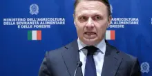 "Apriamo un dibattito sul terzo mandato, anche con le opposizioni". Lollobrigida indica la via