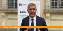 Pecoraro Scanio "Serve una legge contro le agromafie"