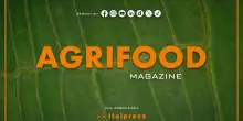 Agrifood Magazine - 21/05/2025