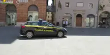 Foligno, scoperto allevamento di cani sconosciuto al fisco