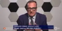 "Lo sanno tutti". Cerno smaschera la strategia sui dazi