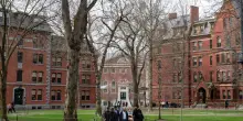 Trump martella Harvard: "Fuori i nomi degli stranieri", e l'università perde 2,4 miliardi