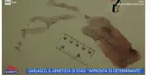 La svolta dall'impronta 33? Il genetista di Stasi: "Si è sporto in avanti"