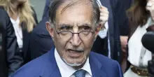 Reati contro gli animali, approvato in Senato il ddl. La Russa: “Importante passo avanti”