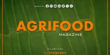 Agrifood Magazine - 4/6/2025