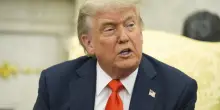 "Grande rapporto? Non credo": Trump vuota il sacco su Musk. Cosa confessa