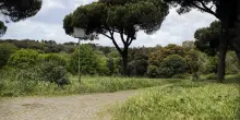 Bambina di 5 mesi trovata senza vita tra i rovi: choc a Villa Pamphili