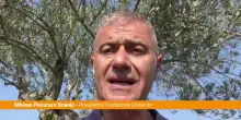 Pecoraro Scanio "La Sardegna sostenga agricoltori nelle aree protette"