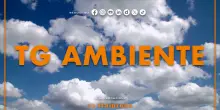 Tg Ambiente - 8/6/2025