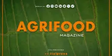 Agrifood Magazine - 11/6/2025