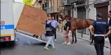 A Palermo cavallo stramazza a terra, multati conducente e proprietario
