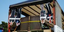 Il Pride dell'odio: leader a testa in giù, bandiere palestinesi e Pd in prima fila